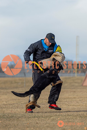K9Force11.2025-2-11