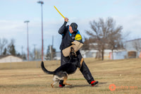 K9Force11.2025-2-14