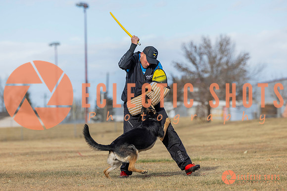K9Force11.2025-2-14