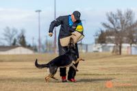 K9Force11.2025-2-13