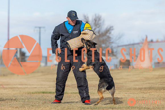 K9Force11.2025-2-16