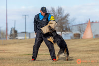 K9Force11.2025-2-15