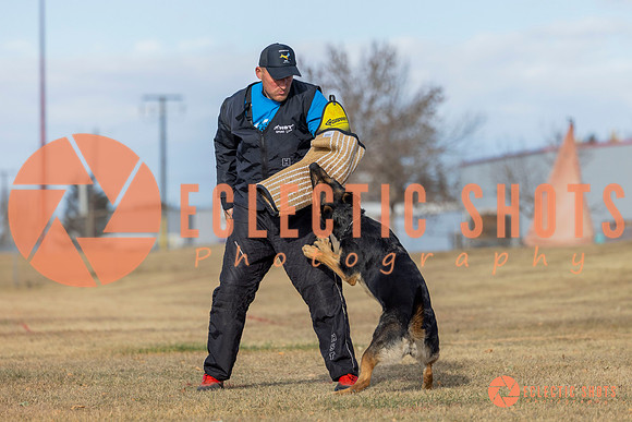 K9Force11.2025-2-15