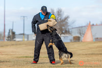 K9Force11.2025-2-17