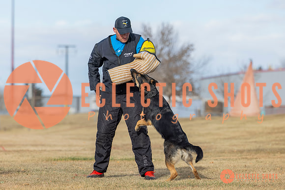 K9Force11.2025-2-17