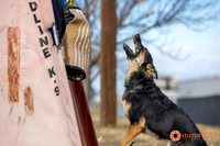 K9Force11.2025-0008