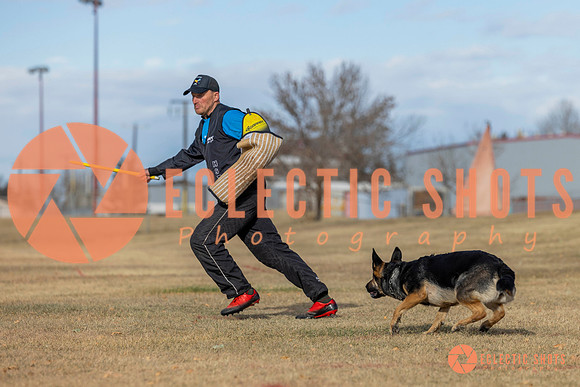 K9Force11.2025-0076