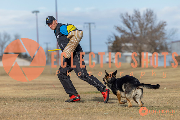 K9Force11.2025-0083
