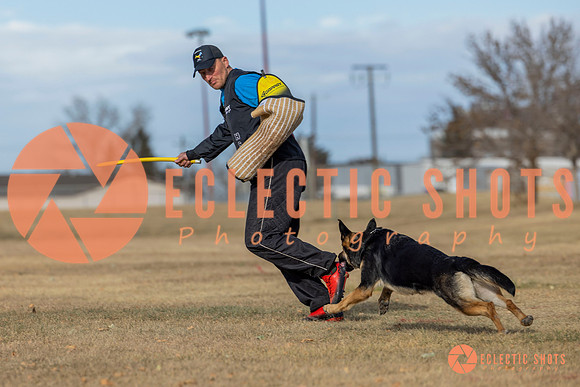 K9Force11.2025-0085
