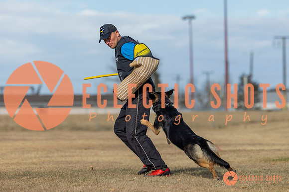 K9Force11.2025-0091