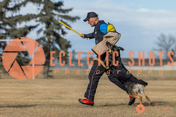 K9Force11.2025-0098