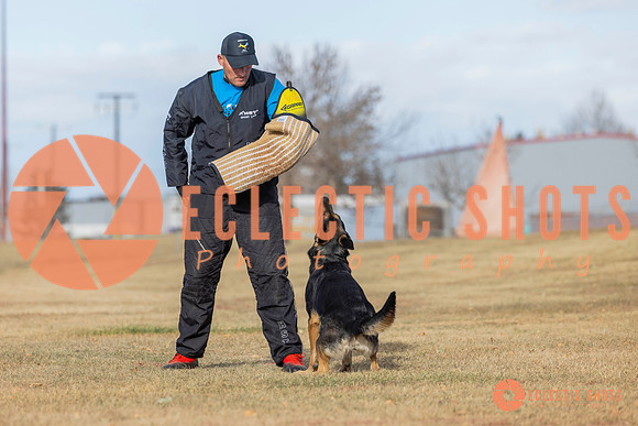 K9Force11.2025-0237