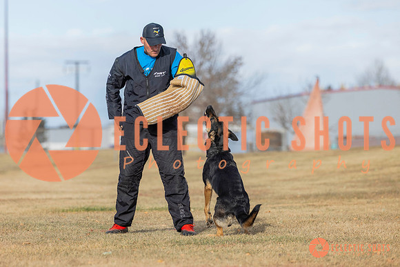 K9Force11.2025-0247