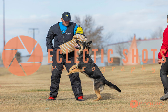 K9Force11.2025-0258