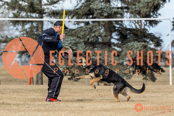 K9Force11.2025-0285