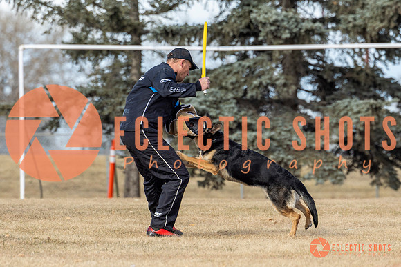 K9Force11.2025-0286