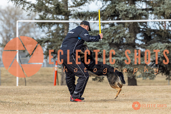 K9Force11.2025-0287