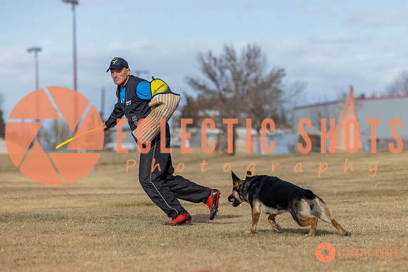 K9Force11.2025-0079