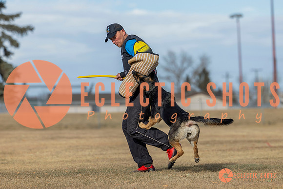 K9Force11.2025-0094