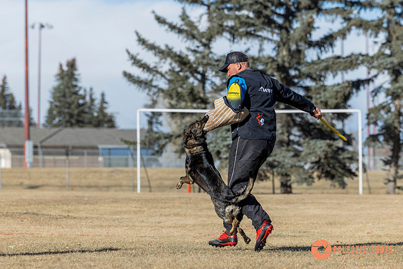 K9Force11.2025-0753