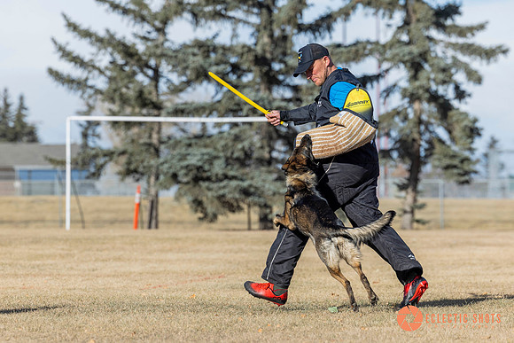 K9Force11.2025-0748