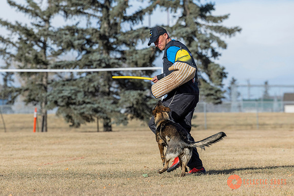 K9Force11.2025-0746