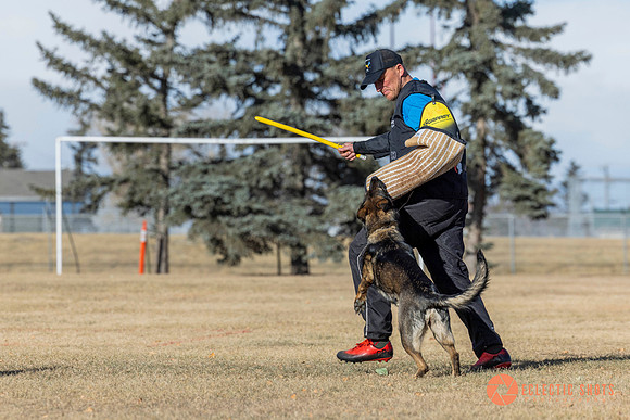 K9Force11.2025-0747