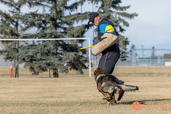 K9Force11.2025-0745