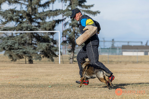 K9Force11.2025-0743