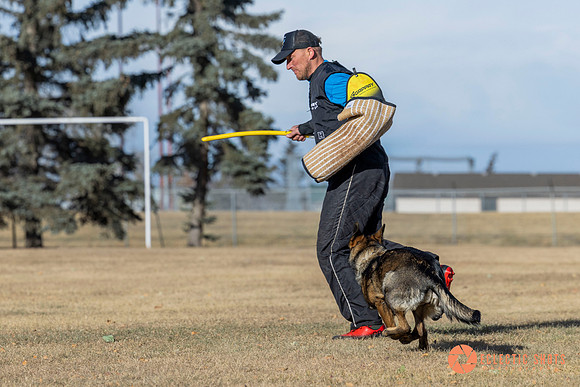 K9Force11.2025-0740