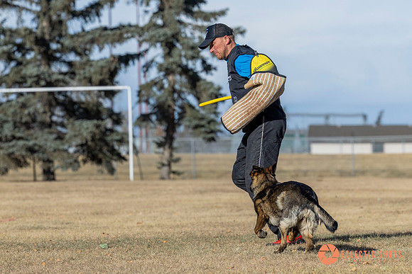 K9Force11.2025-0741