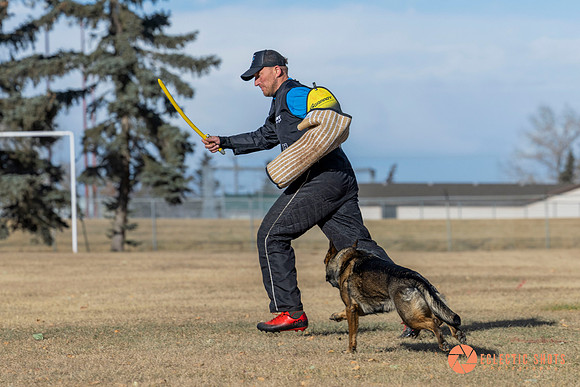 K9Force11.2025-0738
