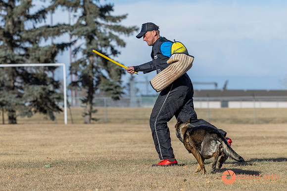 K9Force11.2025-0739