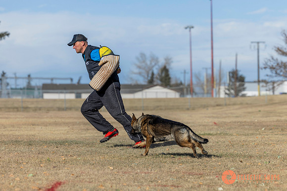 K9Force11.2025-0732