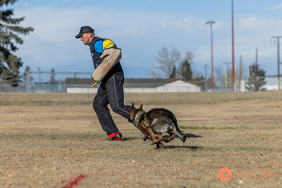 K9Force11.2025-0734