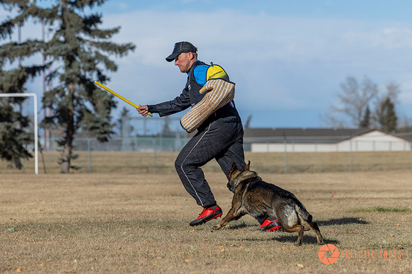 K9Force11.2025-0737