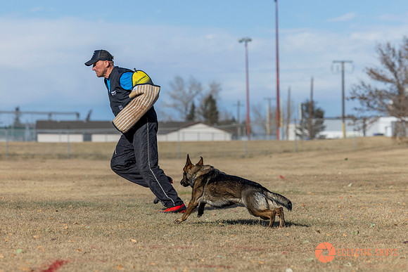 K9Force11.2025-0731