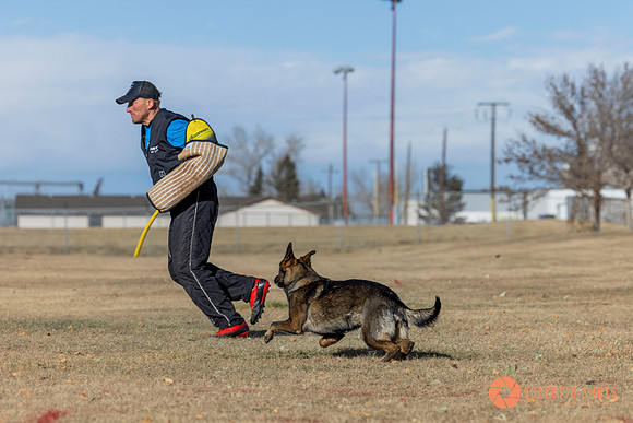 K9Force11.2025-0730