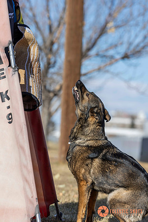 K9Force11.2025-0723