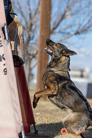K9Force11.2025-0724