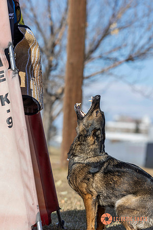 K9Force11.2025-0722