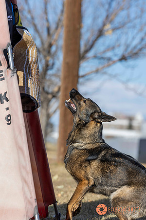 K9Force11.2025-0721