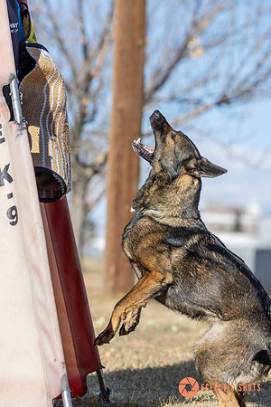 K9Force11.2025-0718