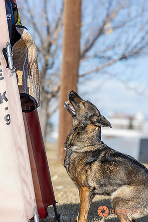 K9Force11.2025-0720