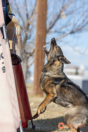K9Force11.2025-0719