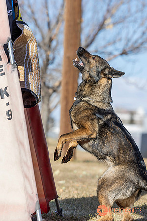 K9Force11.2025-0716