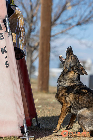 K9Force11.2025-0671