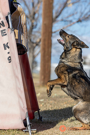 K9Force11.2025-0665