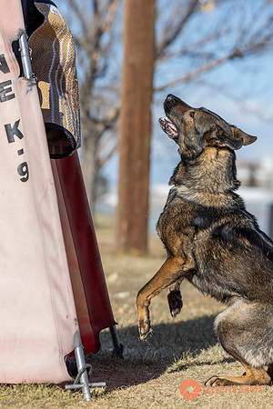 K9Force11.2025-0663