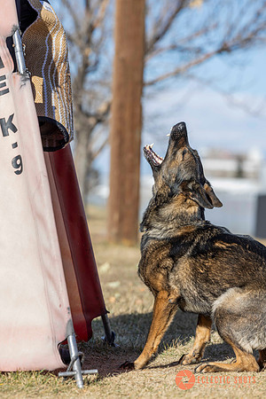 K9Force11.2025-0660